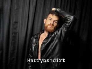 Harrybsmdirt