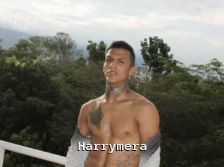 Harrymera