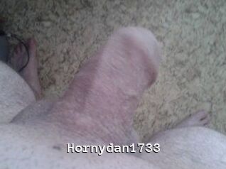 Hornydan1733