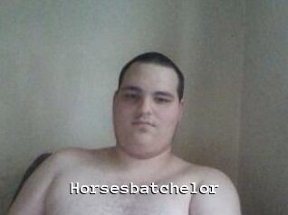Horsesbatchelor