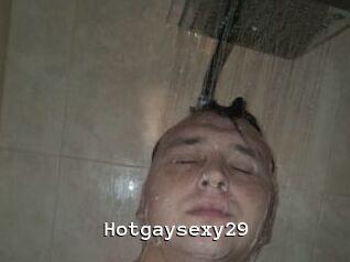 Hotgaysexy29
