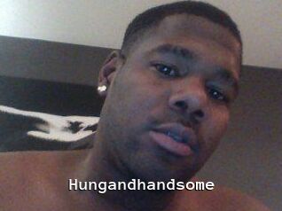 Hungandhandsome
