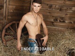 INDEFATIGABLE