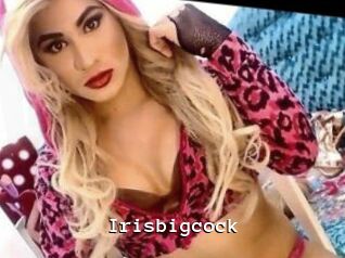 Irisbigcock