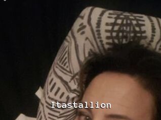 Itastallion
