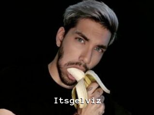 Itsgelviz