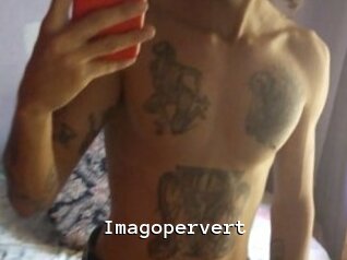 Imagopervert