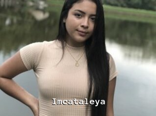 Imcataleya