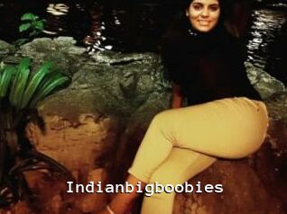 Indianbigboobies