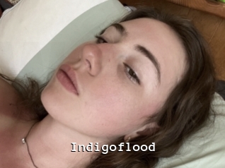 Indigoflood