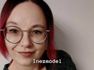 Inezmodel