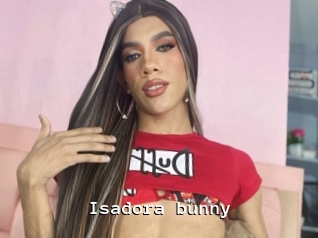 Isadora_bunny