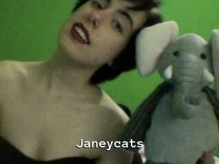 Janeycats