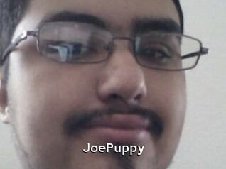 JoePuppy