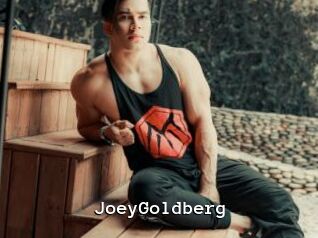 JoeyGoldberg