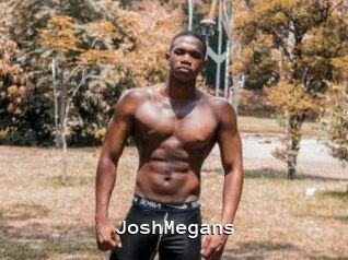 JoshMegans