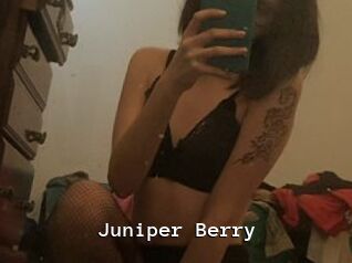 Juniper_Berry