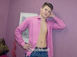 Jacobbud