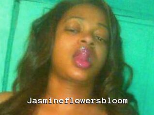 Jasmineflowersbloom
