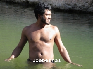 Joebernal