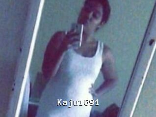Kaju1691