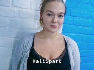KaliSpark