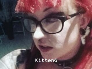 Kitten6