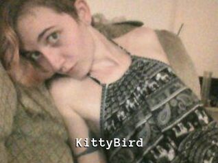 KittyBird