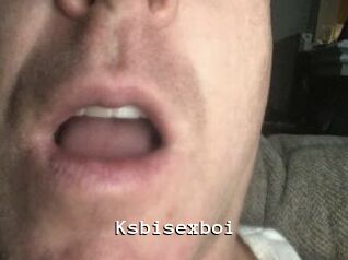 Ksbisexboi