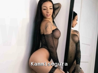 Kammisegura