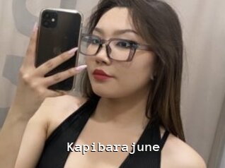 Kapibarajune