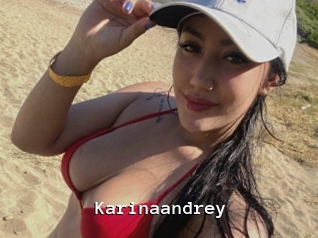 Karinaandrey
