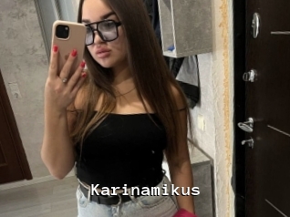 Karinamikus