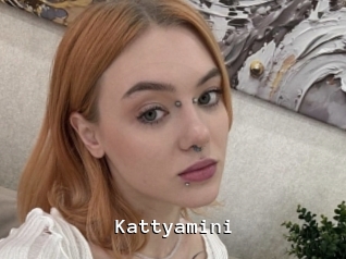 Kattyamini