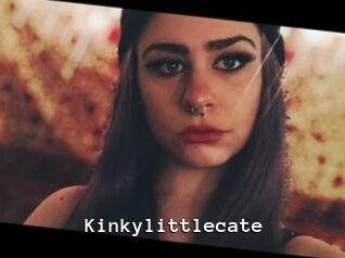 Kinkylittlecate