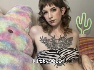 Kitty3000