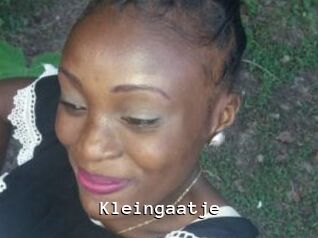 Kleingaatje