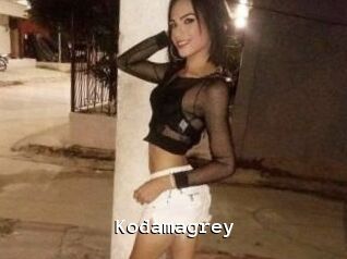 Kodamagrey