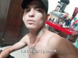Lattinbigcock Webcamsex Amateur