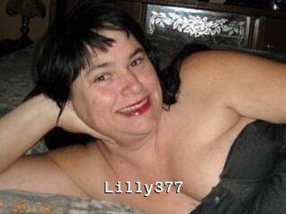 Lilly377
