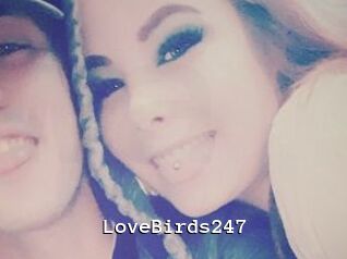 LoveBirds247