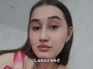 Lamareed