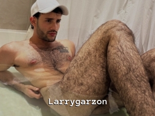 Larrygarzon