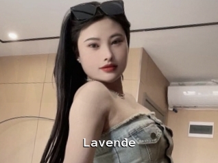 Lavende