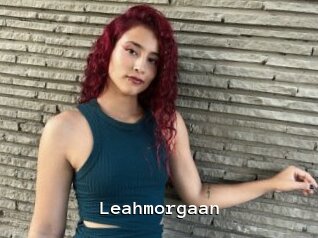 Leahmorgaan
