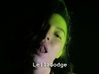 Leilabodge