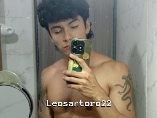 leosantoro22 Webcamsex Amateur