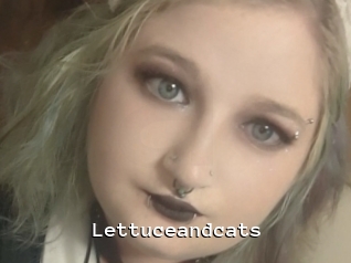 Lettuceandcats