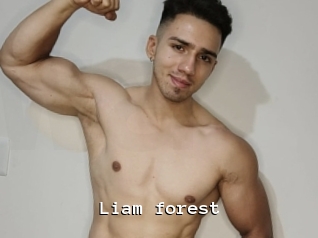 Liam_forest