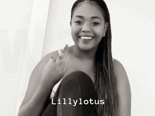 Lillylotus